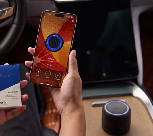 PURA CAR DEVICE